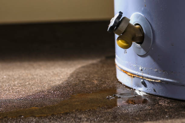 Best Flood damage cleanup  in Sterling, GA
