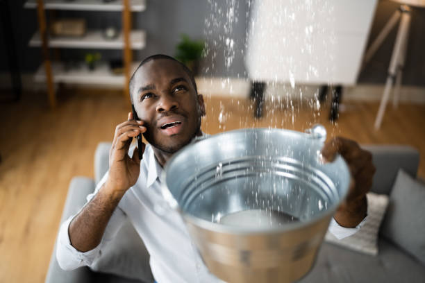 Best Water damage restoration experts  in Sterling, GA