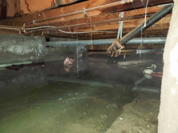 Professional Water damage restoration in GA