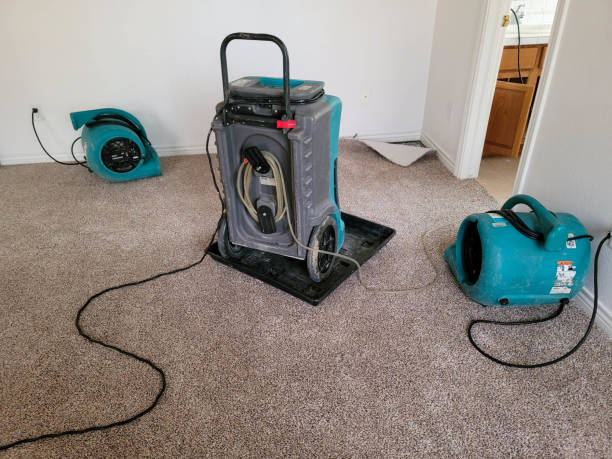 Best Carpet water damage restoration  in Sterling, GA
