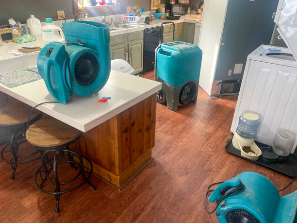 Best Commercial water damage restoration  in Sterling, GA