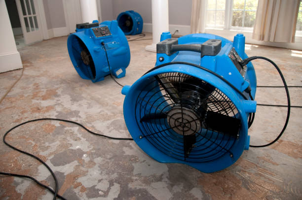Best Water damage restoration near me  in Sterling, GA