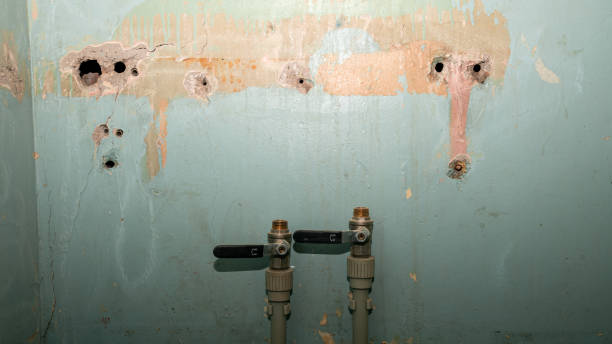 Best Basement water damage restoration  in Sterling, GA