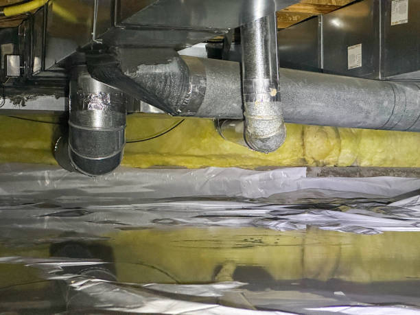 Best Water damage cleanup near me  in Sterling, GA