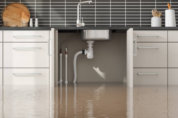 Best Mold removal after water damage  in Sterling, GA